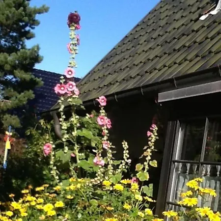 Malvenhaus Διαμέρισμα *