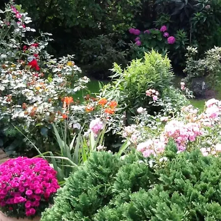 Διαμέρισμα Malvenhaus Zingst